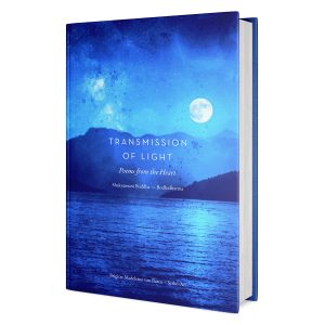 Transmission of Light (eBook)